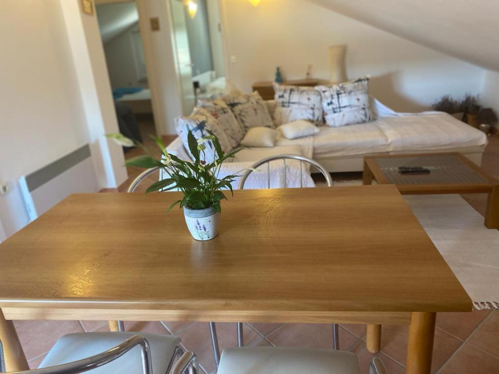 Appartement Casa Fumica